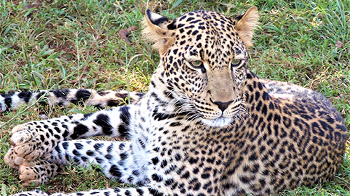 6-days-heart-of-tanzania-safari