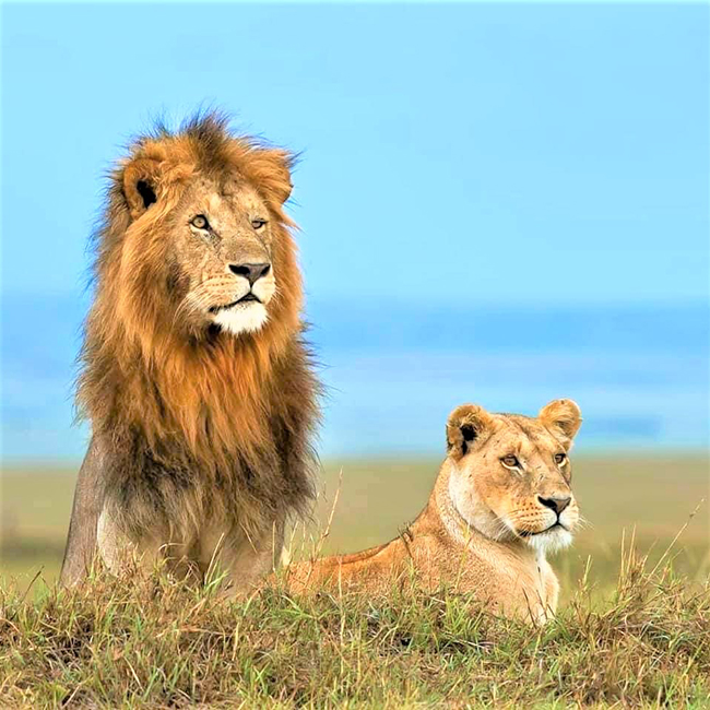 nairobi-national-park